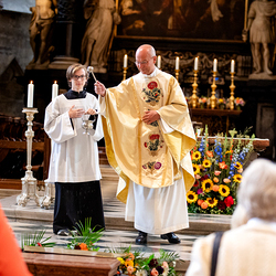 Fiacriusmesse 2025 / Erzdiözese Wien/Schönlaub, Stephan Schönlaub