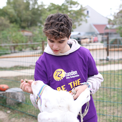 Dies & Das im Therapiehof Regenbogental