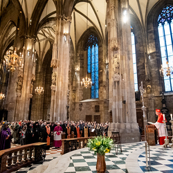 Erzdiözese Wien/ Schönlaub, Stephan Schönlaub