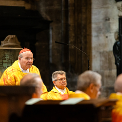 Priesterjubiläen / Erzdiözese Wien/Schönlaub