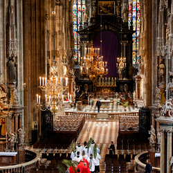 2025 Palmsonntag / Erzdiözese Wien/ Schönlaub, Stephan Schönlaub