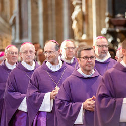 Stephansdom: Österreich nahm Abschied von Papst Franziskus / Erzdiözese Wien/ Schönlaub, Stephan Schönlaub Stephansdom: Österreich nahm Abschied von Papst Franziskus