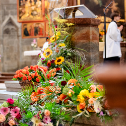 Fiacriusmesse 2025 / Erzdiözese Wien/Schönlaub, Stephan Schönlaub