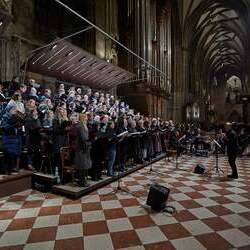 Gottesdienst mit 1000 Religionslehrerinnen und Religionslehrern im Stephansdom