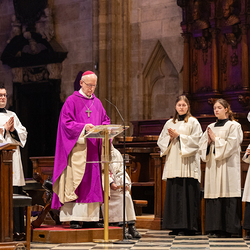 WDST 2024 im Stephansdom / Erzdiözese Wien/Schönlaub