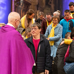 WDST 2024 im Stephansdom / Erzdiözese Wien/Schönlaub