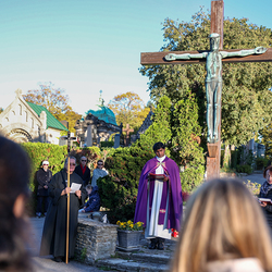 Erzdiözese Wien/Schönlaub