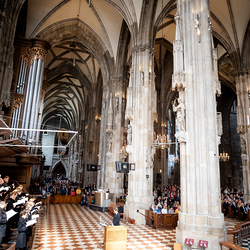 2025 Palmsonntag / Erzdiözese Wien/ Schönlaub, Stephan Schönlaub