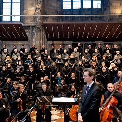 Stephanifest / Erzdiözese Wien/Schönlaub, Stephan Schönlaub